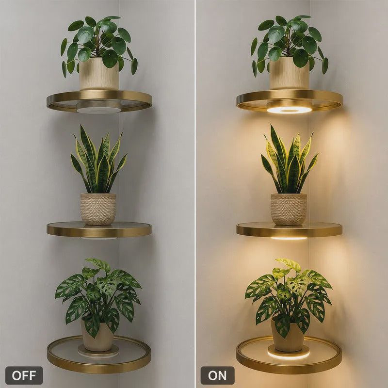 LED Floating Plant Wall Shelf