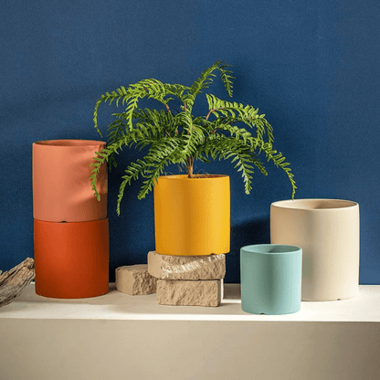 Elegant Ceramic Flowerpot with Saucer