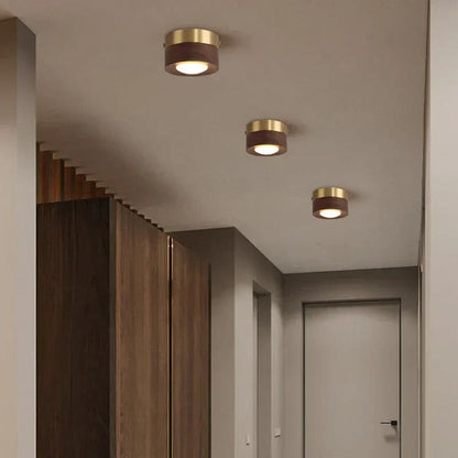 Energy-Saving Walnut Lighting Solution