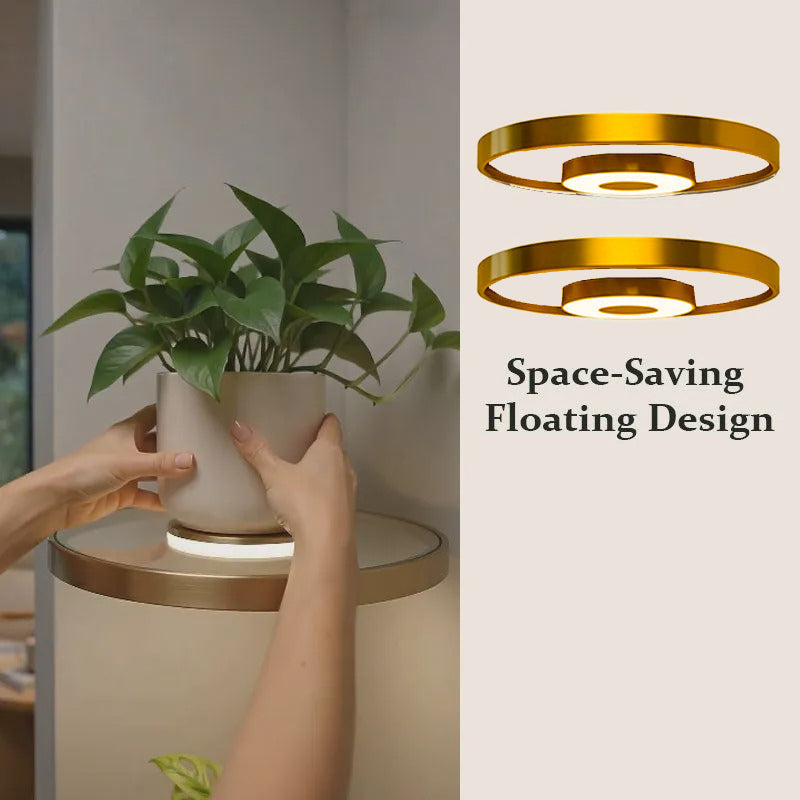 LED Floating Plant Wall Shelf