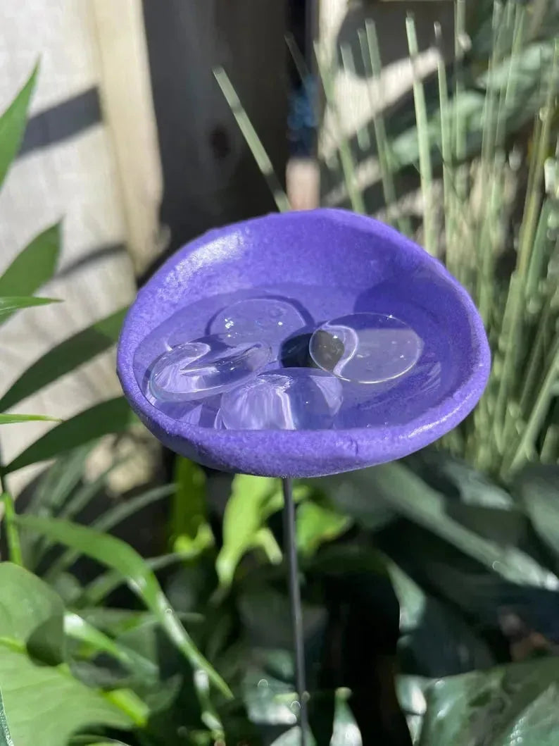 Bee Watering Station. Butterfly Puddler. Hummingbird Drinking Cups